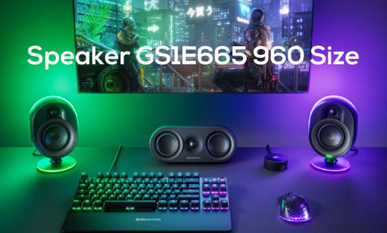 Speaker GS1E665 960 Size