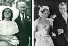 judy stewart-merrill