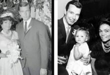 John William McDonald