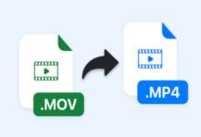 What's the Best MOV to MP4 Converter for Windows