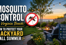Mosquito Control in Virginia Beach: How to Protect Your Backyard All Summer