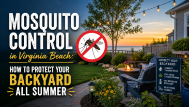 Mosquito Control in Virginia Beach: How to Protect Your Backyard All Summer