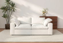 Small Sofas for Small Spaces: Best Layout Ideas for Tiny Living Rooms
