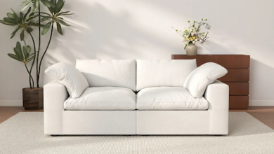 Small Sofas for Small Spaces: Best Layout Ideas for Tiny Living Rooms