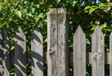 How to Choose a Longer Lasting Garden Fence for Your Home