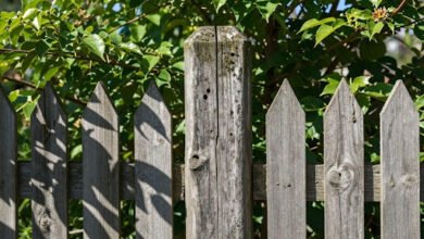 How to Choose a Longer Lasting Garden Fence for Your Home